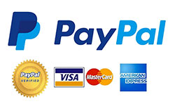 PayPal Logo